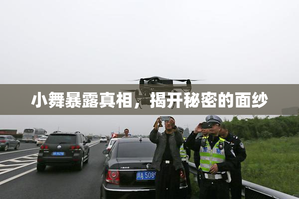 小舞暴露真相，揭开秘密的面纱