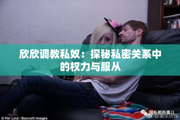 欣欣调教私奴：探秘私密关系中的权力与服从