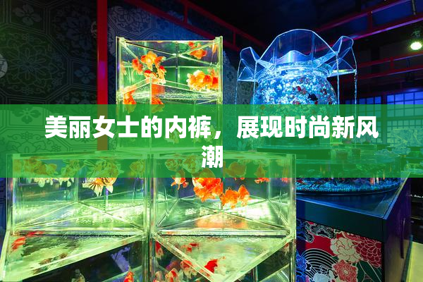 美丽女士的内裤，展现时尚新风潮