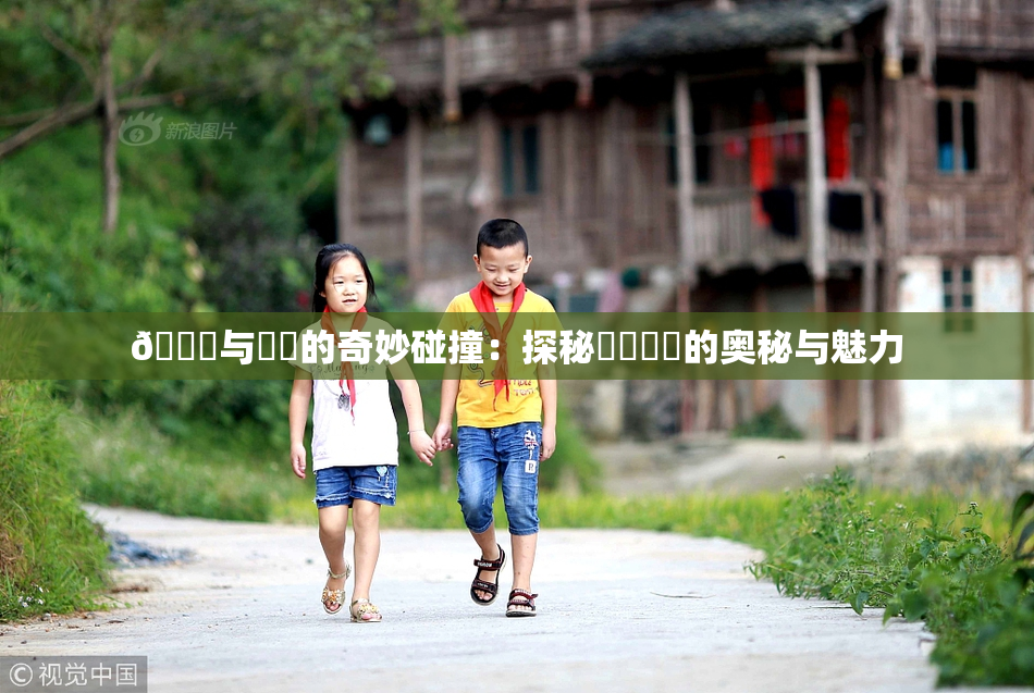 🍆与❌‌的奇妙碰撞：探秘❌‌❌‌的奥秘与魅力