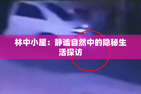 林中小屋：静谧自然中的隐秘生活探访