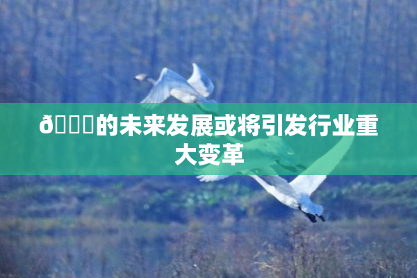🈚的未来发展或将引发行业重大变革