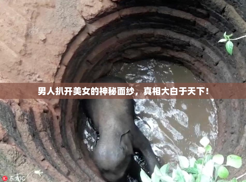 男人扒开美女的神秘面纱，真相大白于天下！