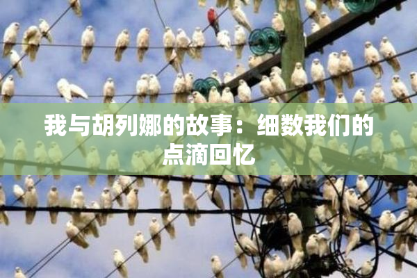 我与胡列娜的故事：细数我们的点滴回忆