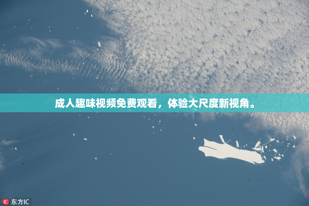 成人趣味视频免费观看，体验大尺度新视角。