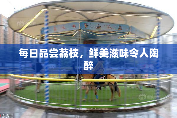 每日品尝荔枝，鲜美滋味令人陶醉