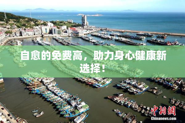 自愈的免费高，助力身心健康新选择！