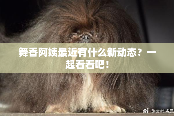 舞香阿姨最近有什么新动态？一起看看吧！