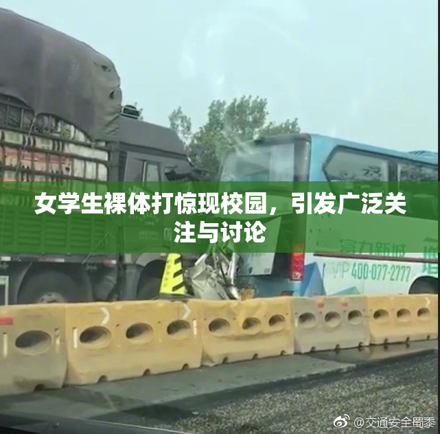 女学生裸体打惊现校园，引发广泛关注与讨论