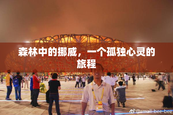 森林中的挪威，一个孤独心灵的旅程