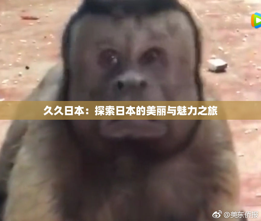 久久日本：探索日本的美丽与魅力之旅