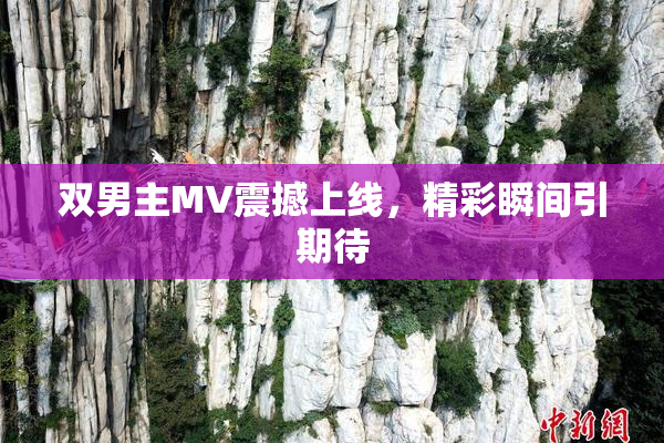 双男主MV震撼上线，精彩瞬间引期待