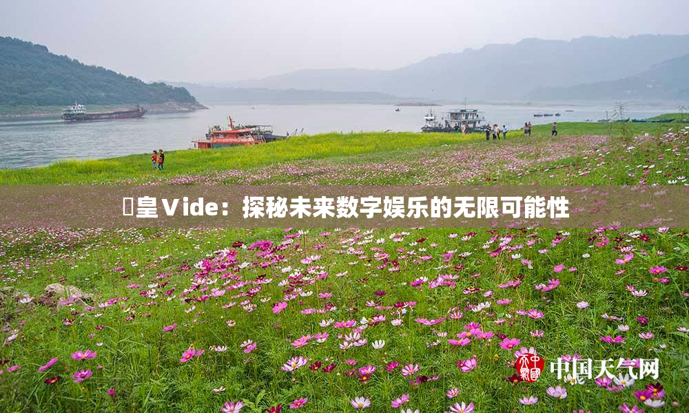 嘼皇Ⅴide：探秘未来数字娱乐的无限可能性