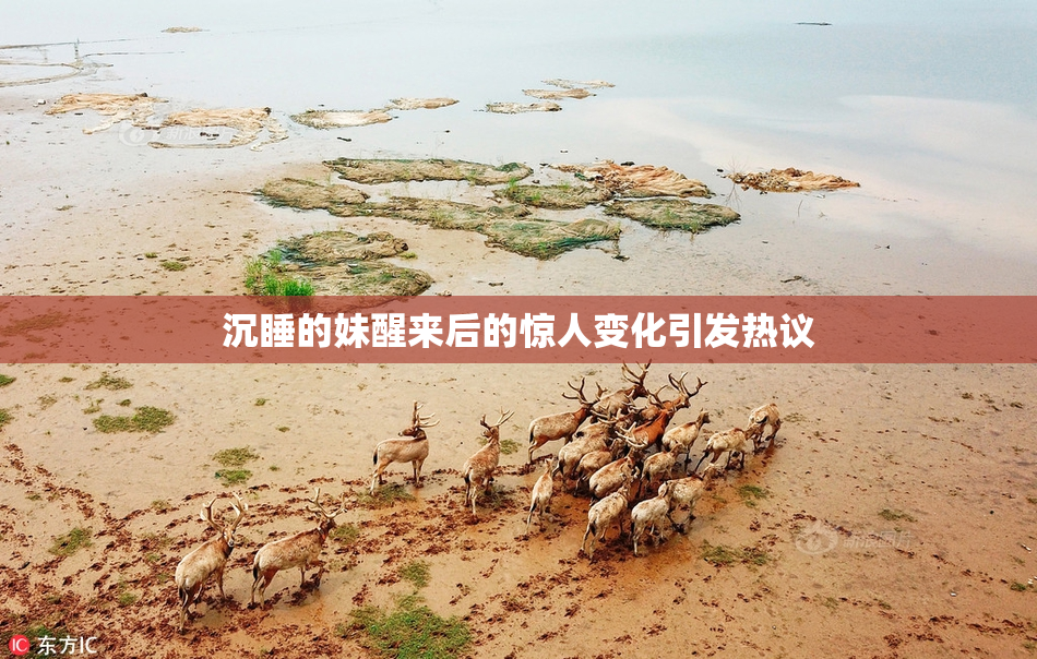 沉睡的妹醒来后的惊人变化引发热议