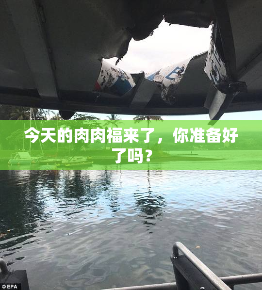 今天的肉肉福来了，你准备好了吗？