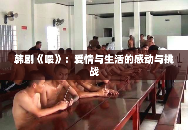 韩剧《喂》：爱情与生活的感动与挑战