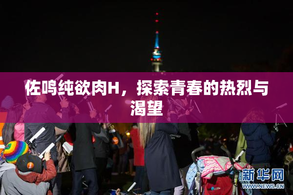 佐鸣纯欲肉H，探索青春的热烈与渴望