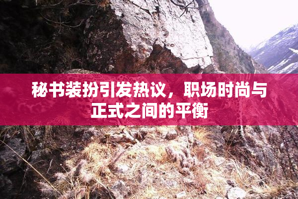 秘书装扮引发热议，职场时尚与正式之间的平衡