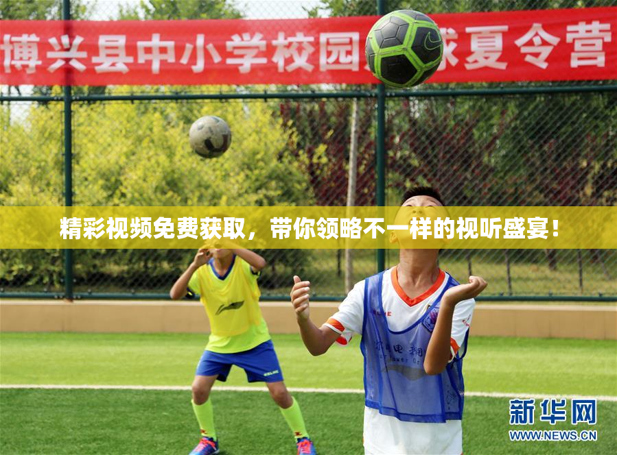 精彩视频免费获取，带你领略不一样的视听盛宴！