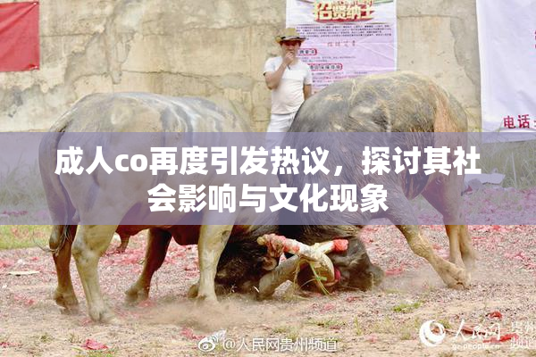 成人co再度引发热议，探讨其社会影响与文化现象
