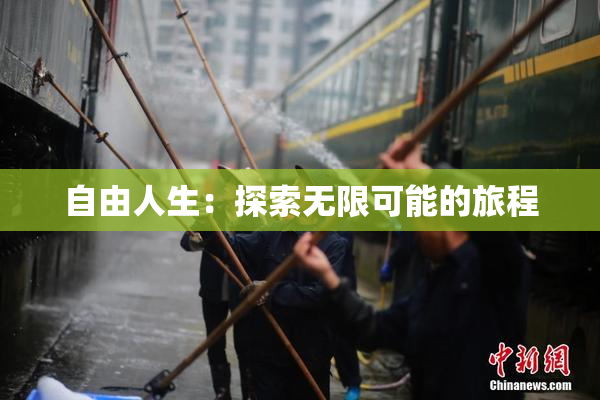 自由人生：探索无限可能的旅程