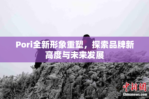 Pori全新形象重塑，探索品牌新高度与未来发展