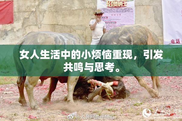 女人生活中的小烦恼重现，引发共鸣与思考。