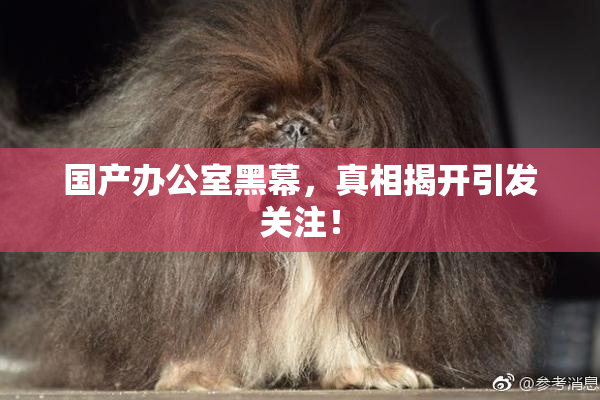 国产办公室黑幕，真相揭开引发关注！