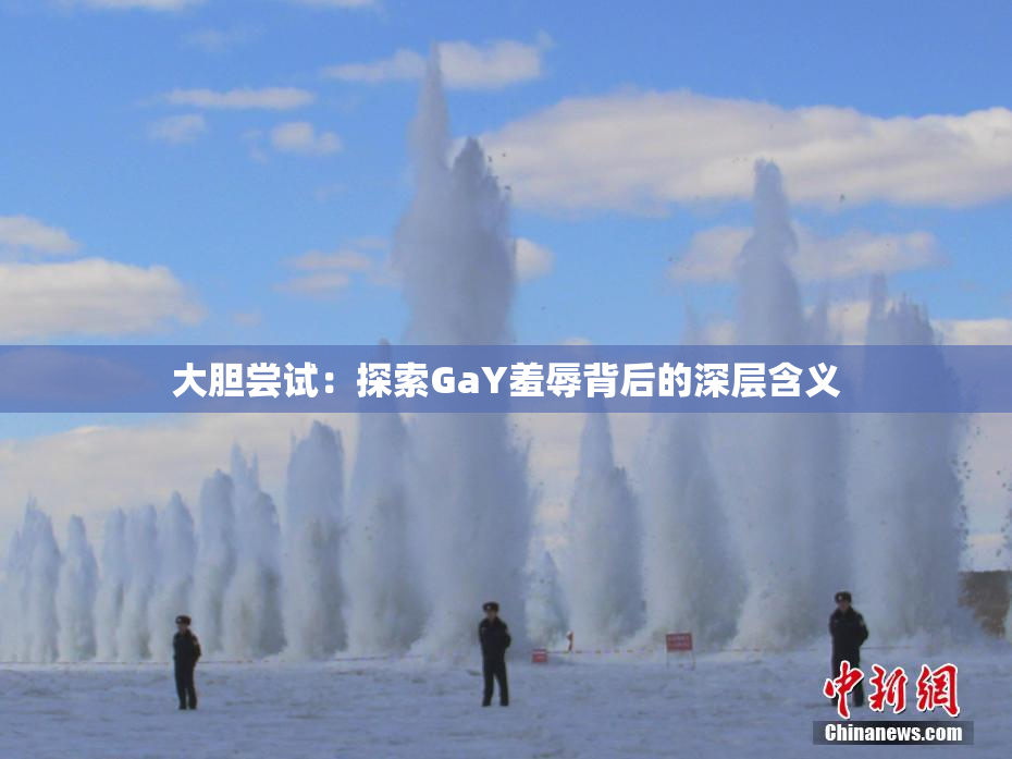 大胆尝试：探索GaY羞辱背后的深层含义