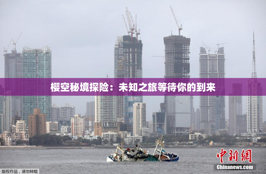 樱空秘境探险：未知之旅等待你的到来