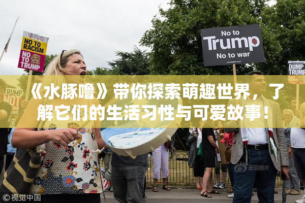 《水豚噜》带你探索萌趣世界，了解它们的生活习性与可爱故事！