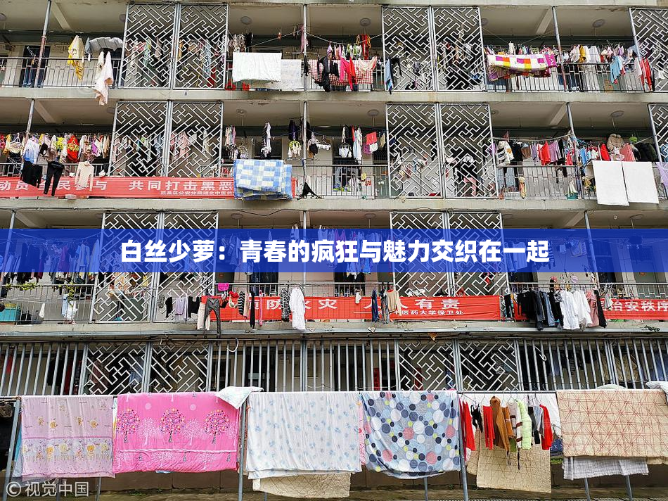 白丝少萝：青春的疯狂与魅力交织在一起