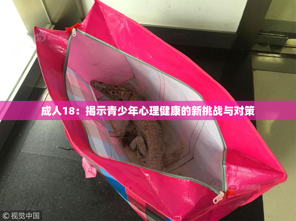 成人18：揭示青少年心理健康的新挑战与对策