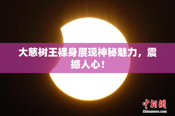 大慈树王裸身展现神秘魅力，震撼人心！