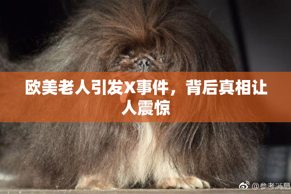 欧美老人引发X事件，背后真相让人震惊
