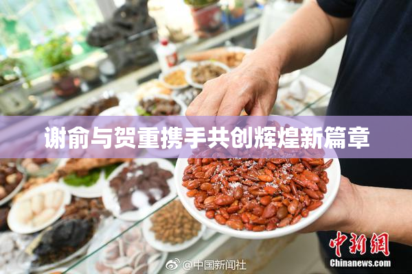 谢俞与贺重携手共创辉煌新篇章