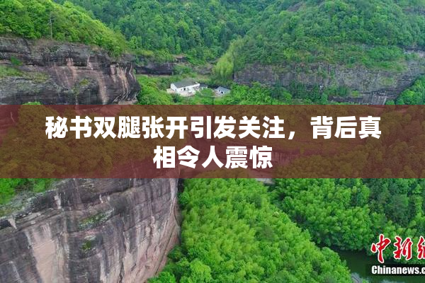 秘书双腿张开引发关注，背后真相令人震惊
