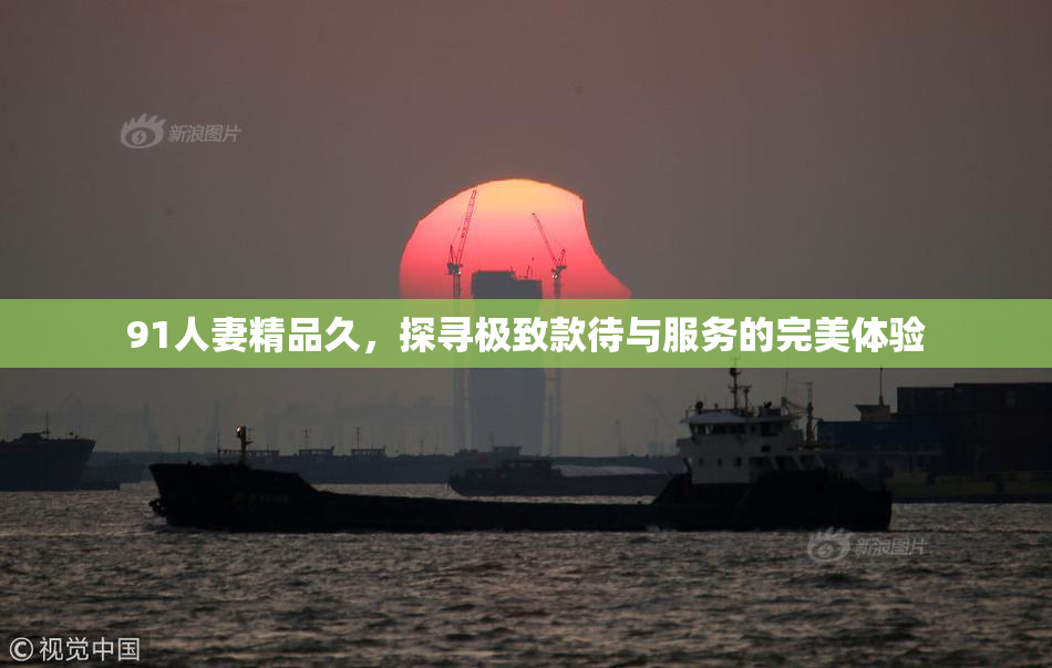 91人妻精品久，探寻极致款待与服务的完美体验