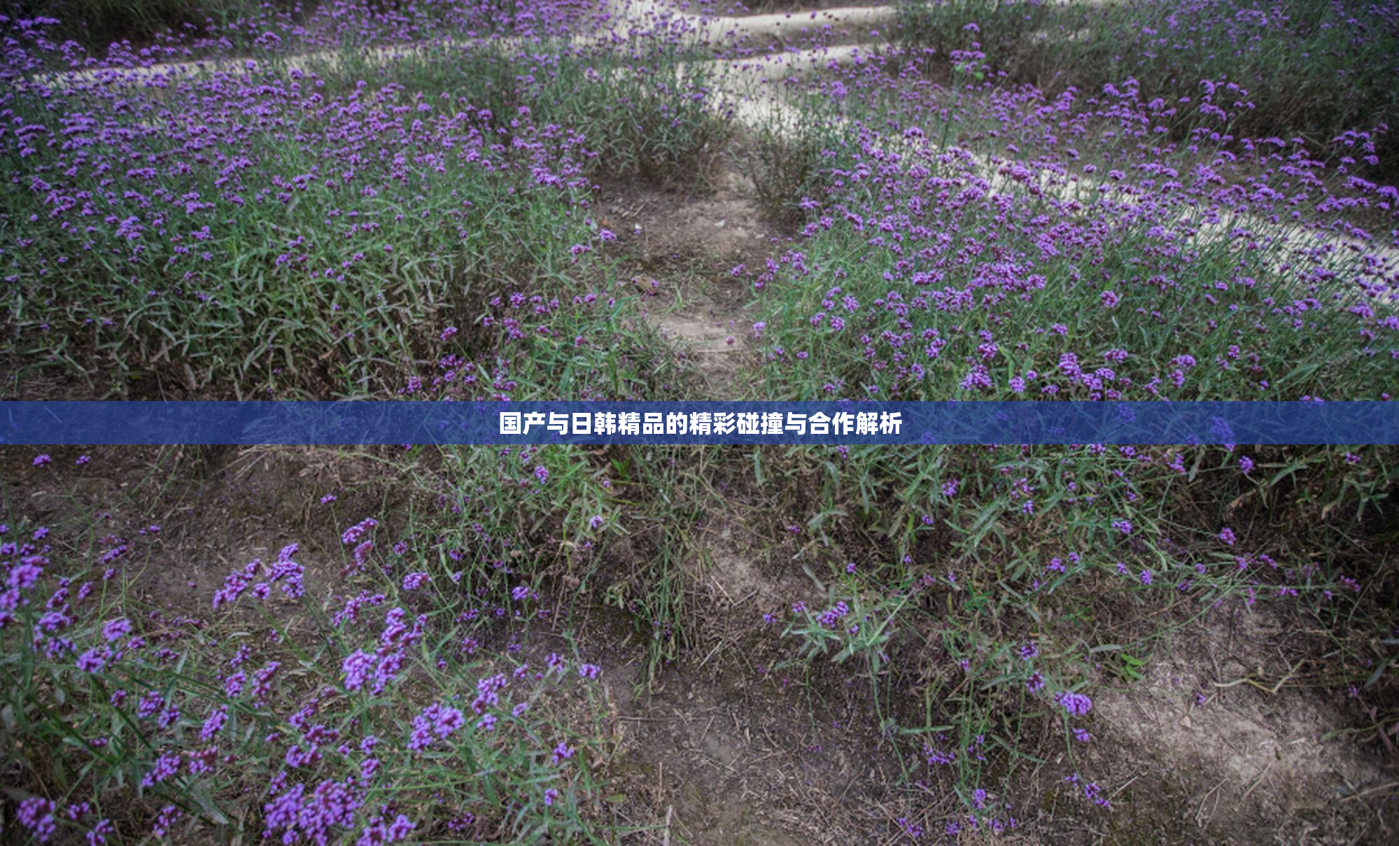 国产与日韩精品的精彩碰撞与合作解析