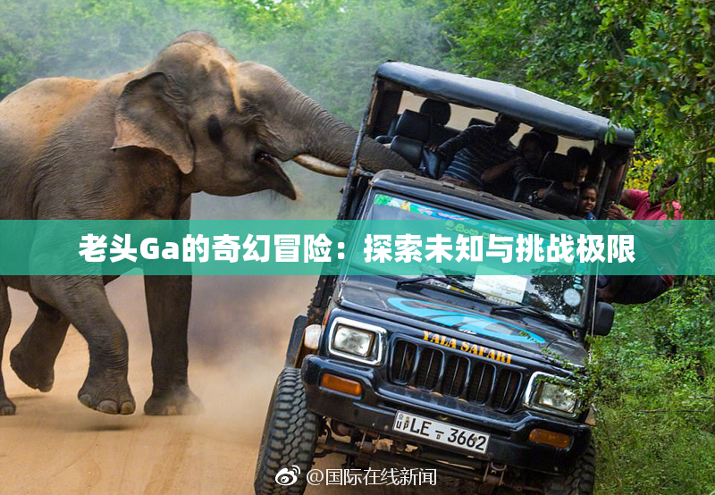 老头Ga的奇幻冒险：探索未知与挑战极限