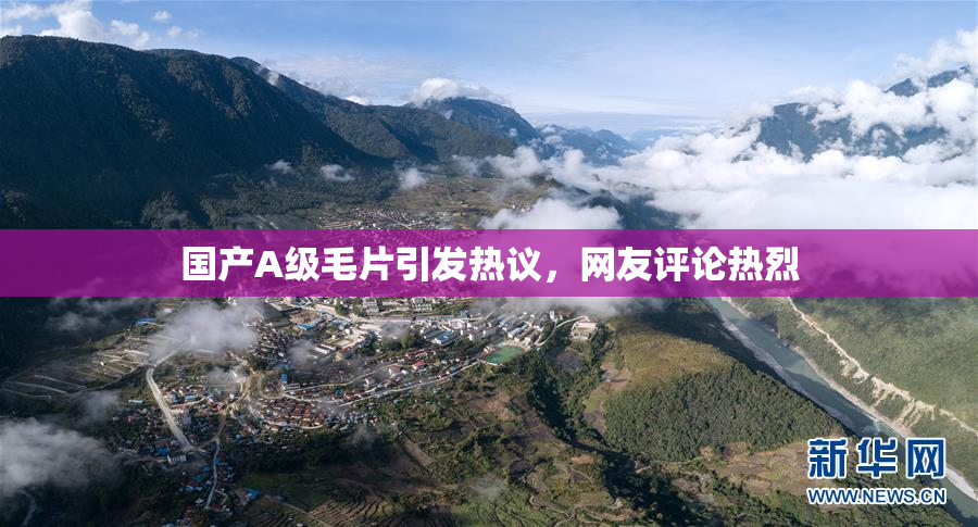 国产A级毛片引发热议，网友评论热烈