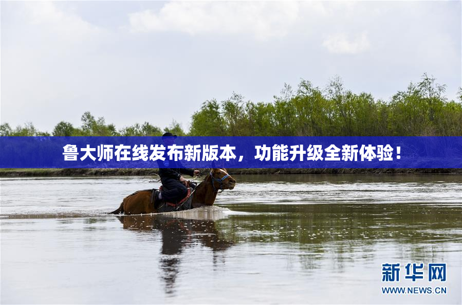 鲁大师在线发布新版本，功能升级全新体验！