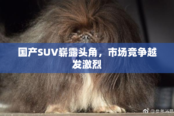 国产SUV崭露头角，市场竞争越发激烈
