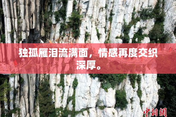 独孤雁泪流满面，情感再度交织深厚。