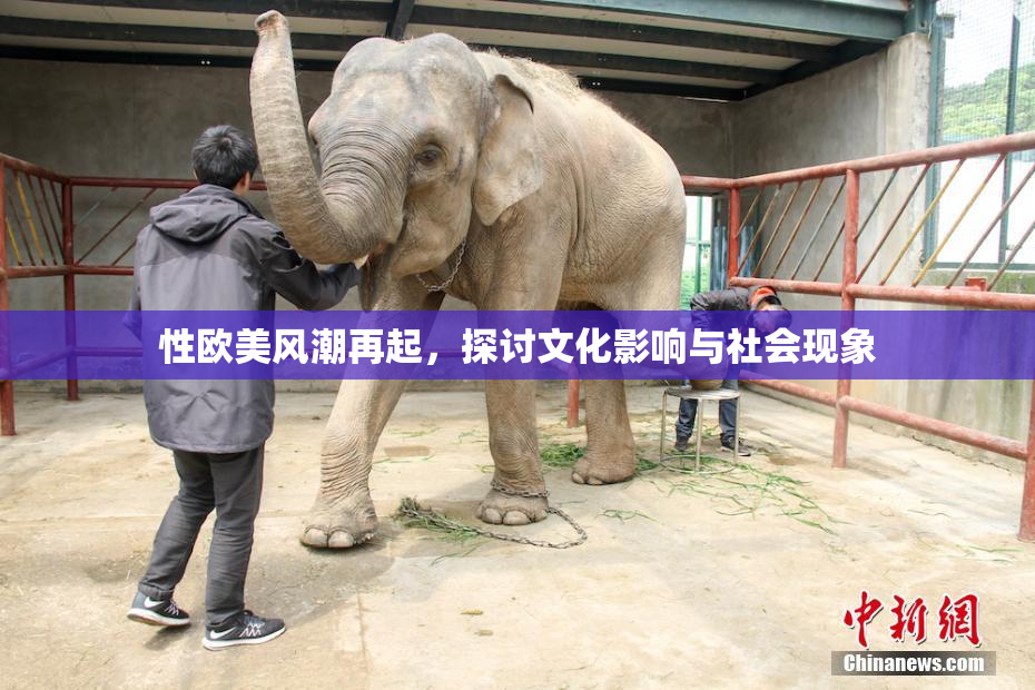性欧美风潮再起，探讨文化影响与社会现象