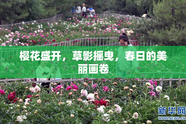 樱花盛开，草影摇曳，春日的美丽画卷