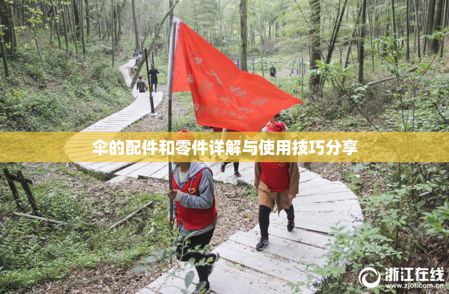 伞的配件和零件详解与使用技巧分享
