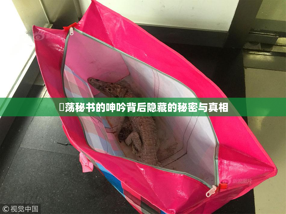 婬荡秘书的呻吟背后隐藏的秘密与真相