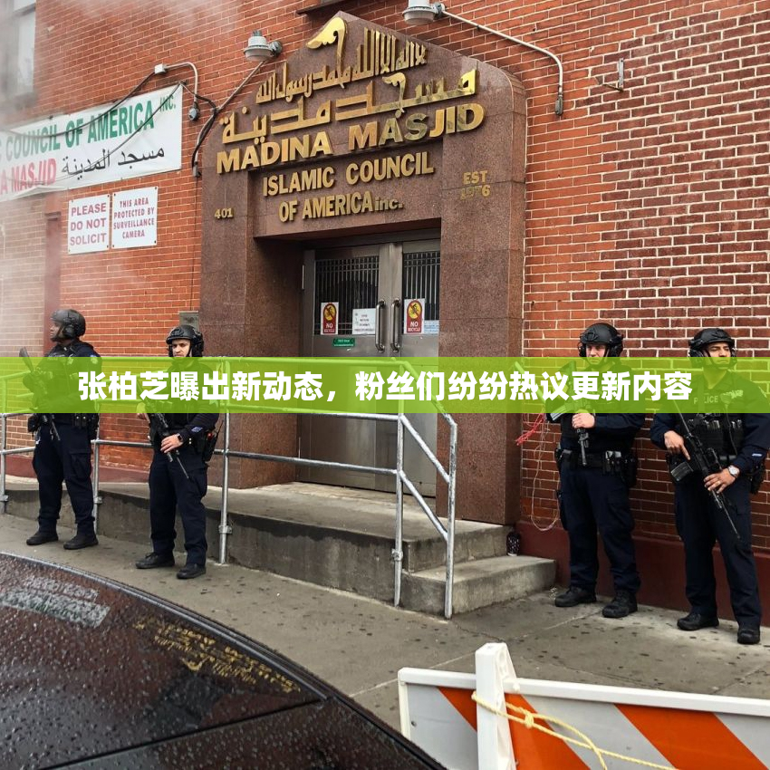 张柏芝曝出新动态，粉丝们纷纷热议更新内容