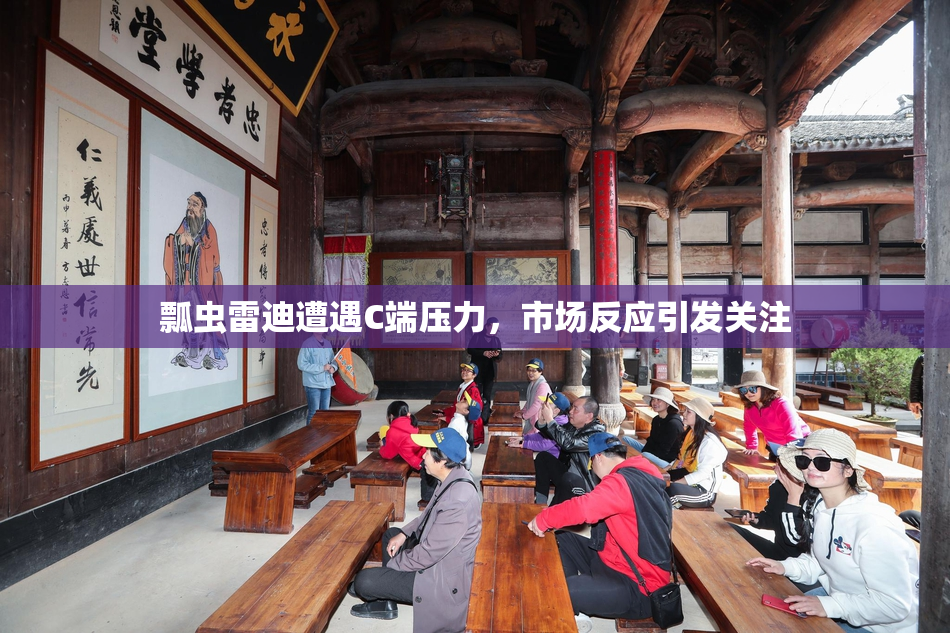 瓢虫雷迪遭遇C端压力，市场反应引发关注
